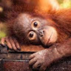 Meet your Posher, Caitlyn